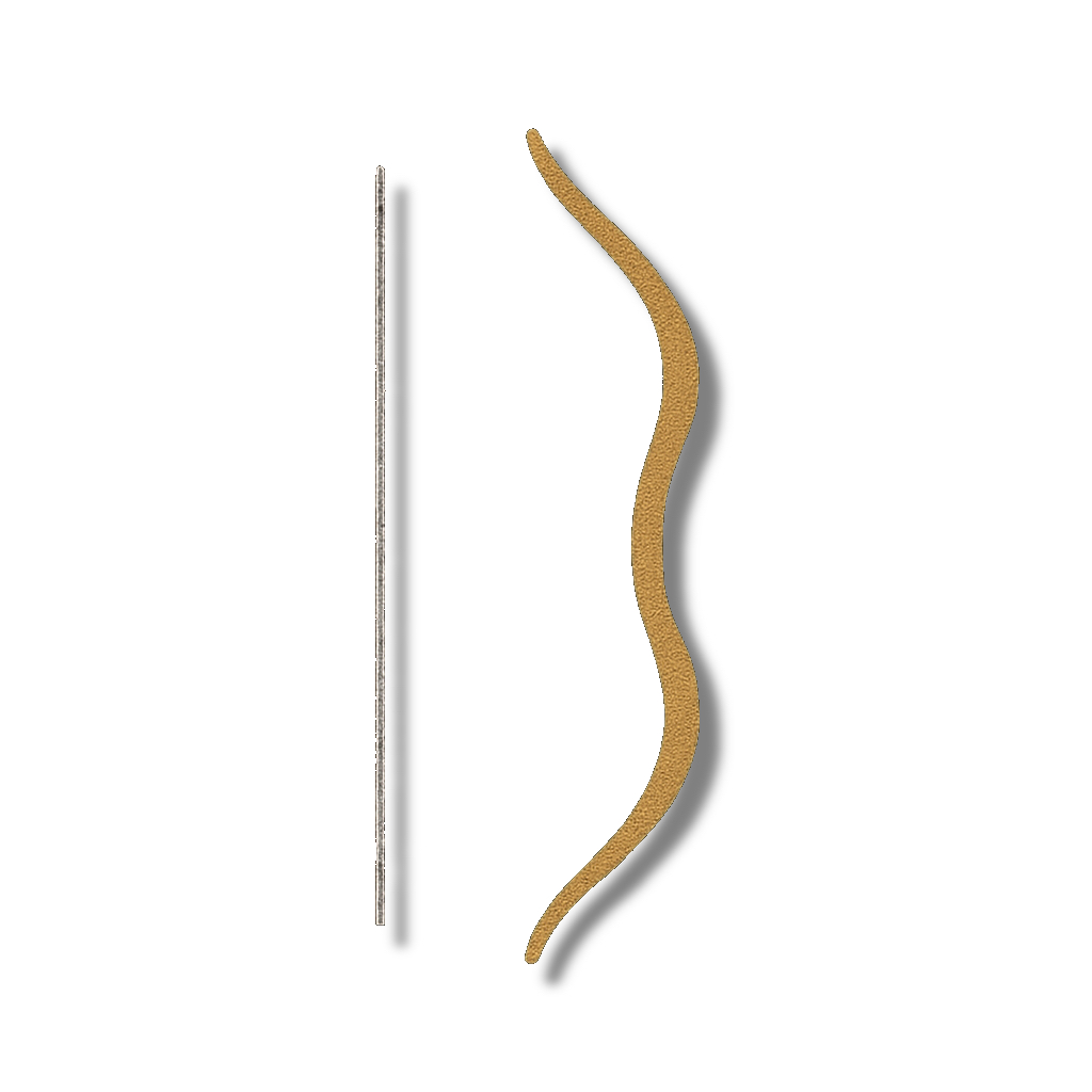 Arc et corde
