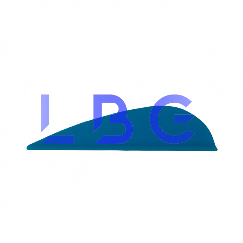 lot de 100 plumes 1" bleu