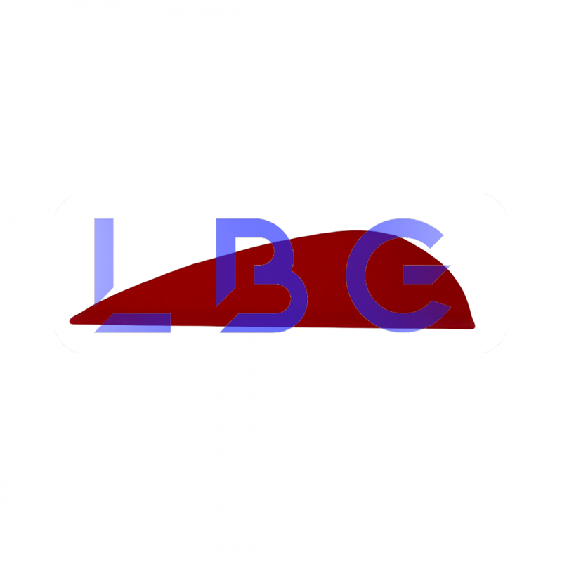 lot de 100 plumes 1" rouge