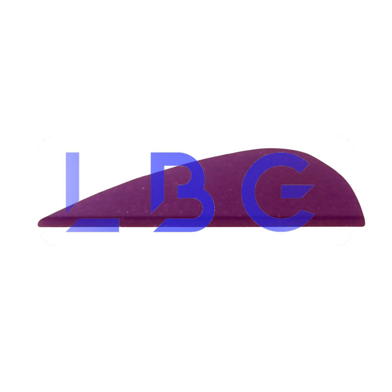 lot de 100 plumes 1" violet