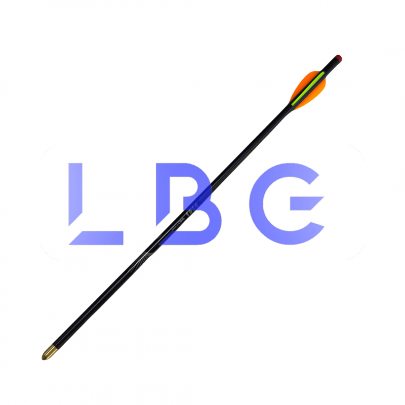 fleche eclipse 1814 + 2 F2O + 1 F2VF (falco 1.5")